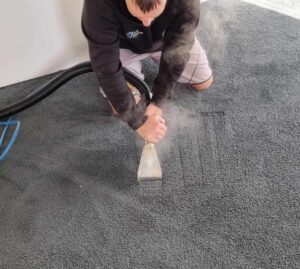 Carpet Cleaning 1 Carpet Cleaning Wellington